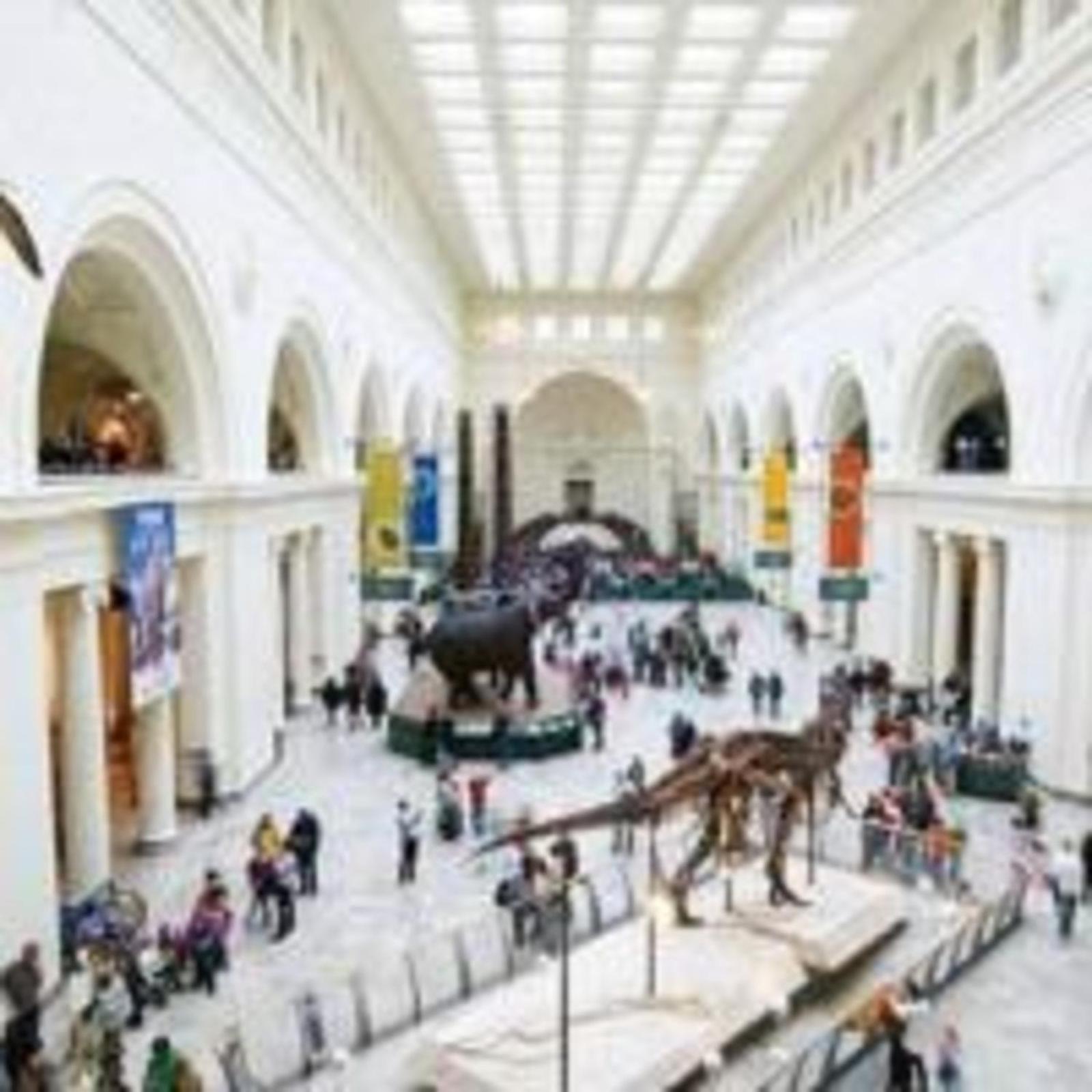 Field Museum Experience at Ellis Place Main image 2